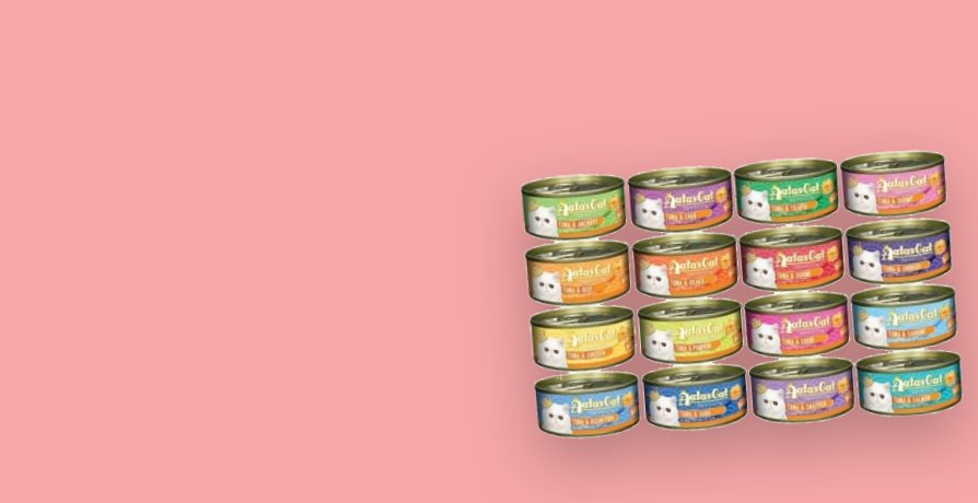 A carton of 24 cans of cat food
