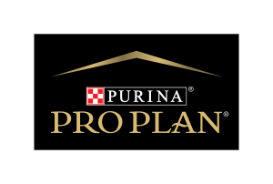 Pro Plan